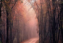 问鼎娱乐：哈兰德对阵水晶宫4场6球 但首次未能带队获胜.