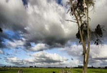 问鼎娱乐：国足西征目标拿分而归 为进入小组前四奠定基础.