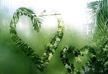 问鼎娱乐：42场27球18助，拉菲尼亚本赛季已直接参与45粒进球.