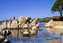 问鼎娱乐：英超各队出场时间最多的外场球员：萨利巴、范迪克、哈兰德在列.